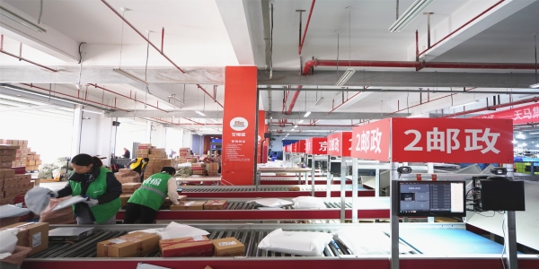 自动化展示